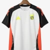 Benfica Vorbereitungstrikot 2024-2025
