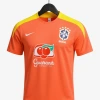 Brasilien Training Trikot 2026 Erwachsene