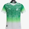 Côte d'Ivoire Concept Trikot 2026