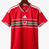 Heimtrikot Wales 2026