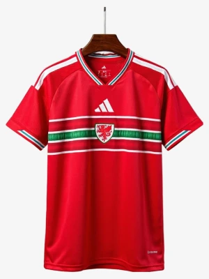 Heimtrikot Wales 2026