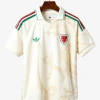Auswärtstrikot Wales 2026