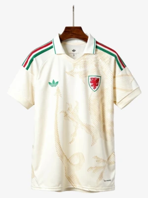 Auswärtstrikot Wales 2026