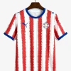 Paraguay Trikot WM 2026