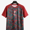 Portugal Trikot 2026/27 Special Red